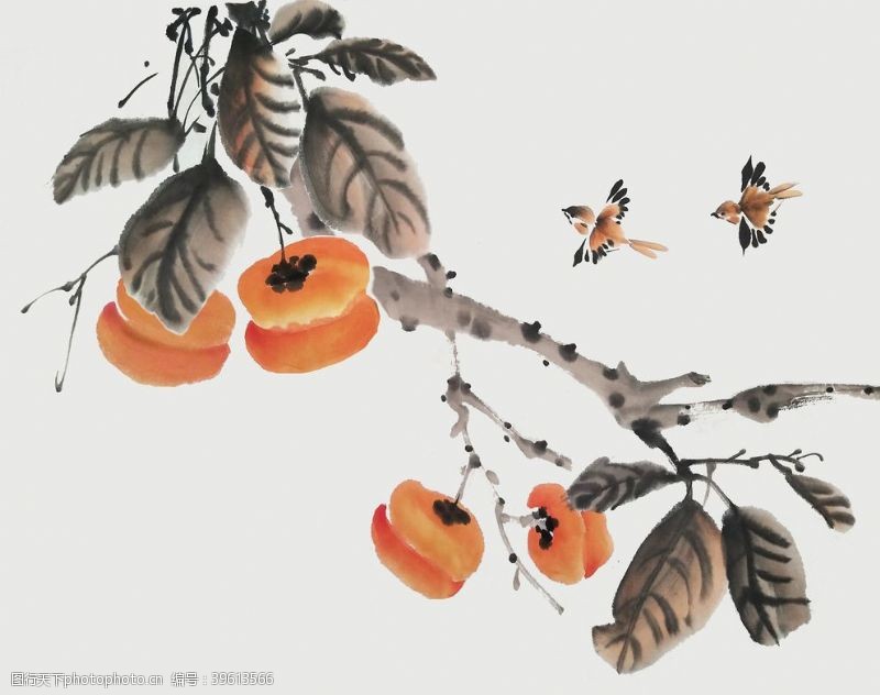 柿子水墨水彩复古背景海报素材图片