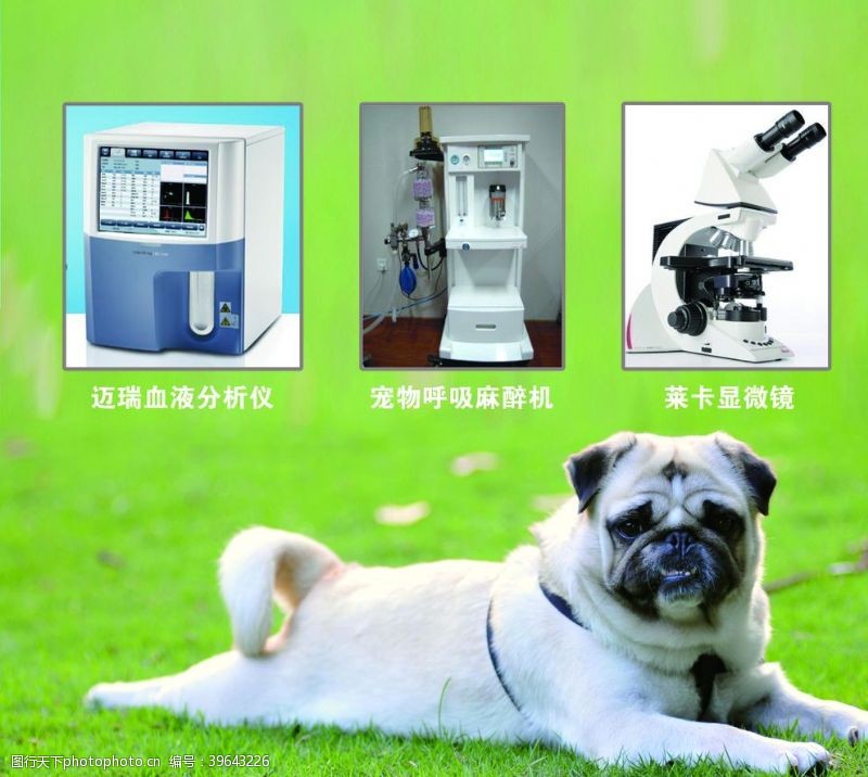 机器狗宠物健康仪器图片