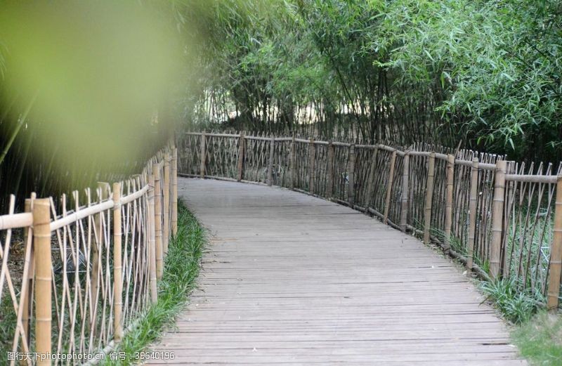 竹林背景公园小路图片