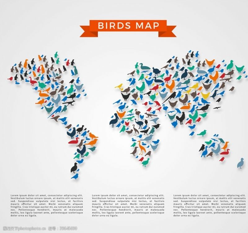 鸽子鸟类世界地图图片