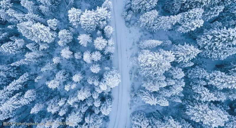 霜冻天线摄影树木鸟瞰图图片