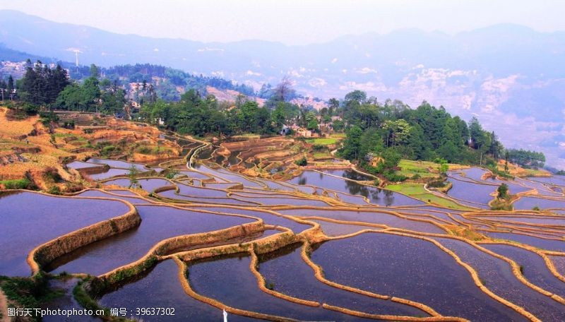 自然光梯田图片