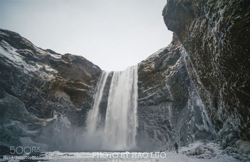 植物群雪山图片