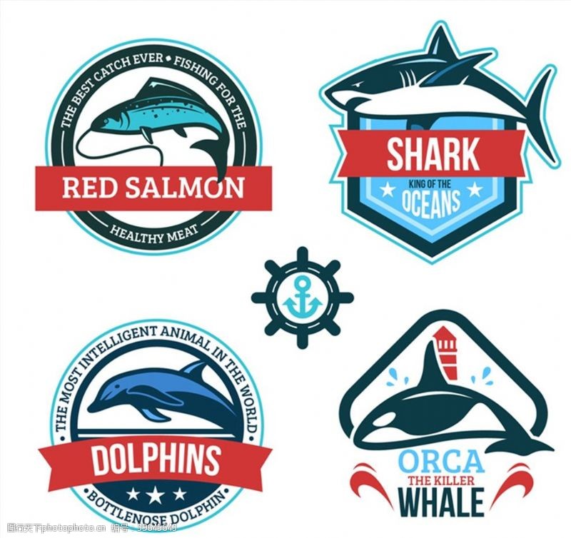 鲸鱼鱼类标签矢量图片