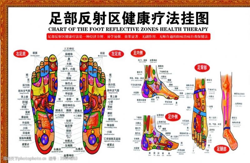 足部反射区图片免费下载 足部反射区素材 足部反射区模板 图行天下素材网