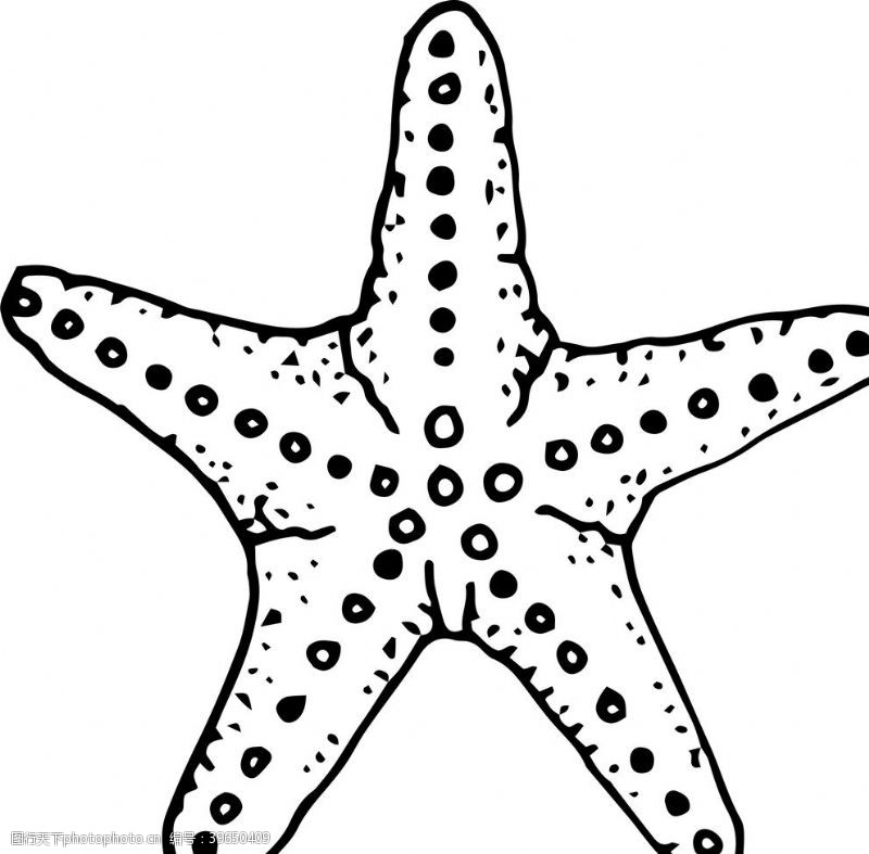 螺帽海星图片