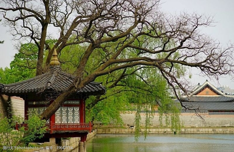 宫殿韩国首尔景福宫建筑韩国风景图片