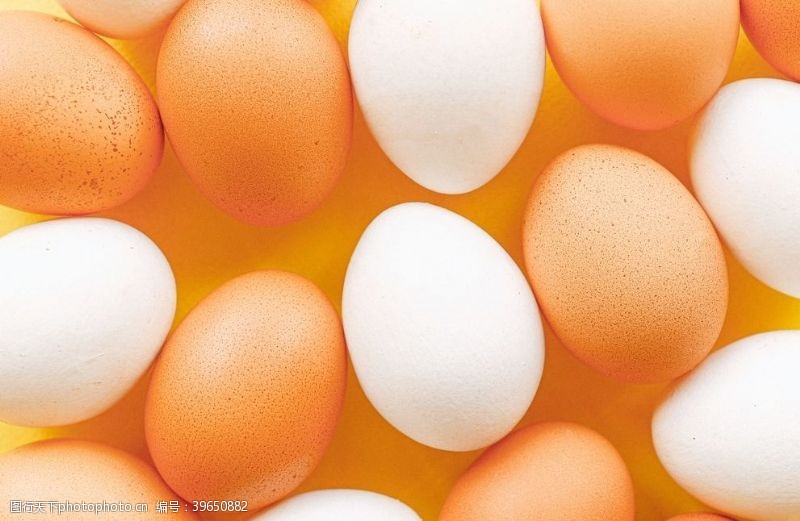 柴鸡蛋鸡蛋图片