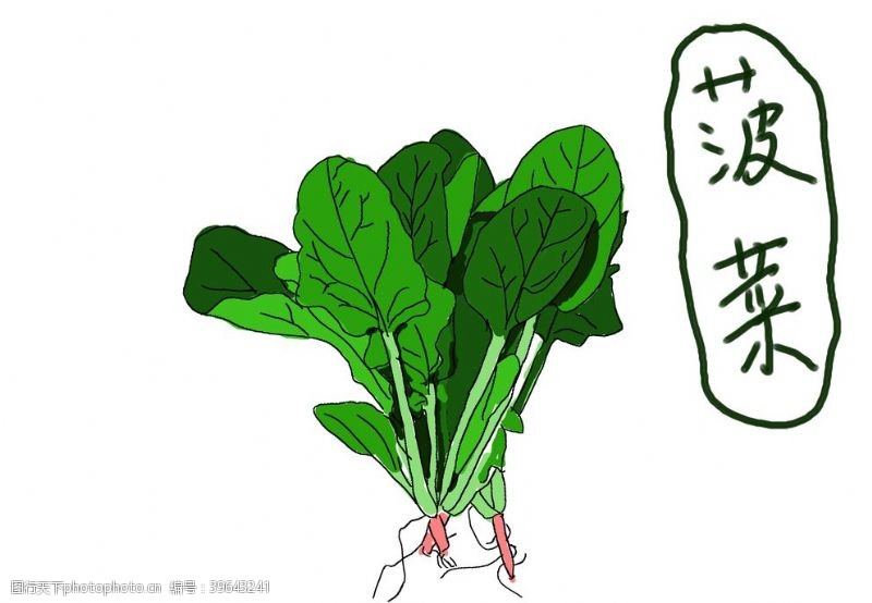 手绘蔬菜手绘菠菜图片