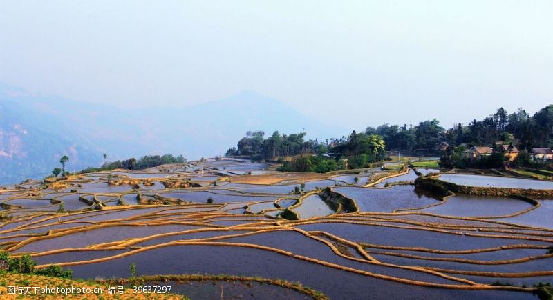 自然光梯田图片