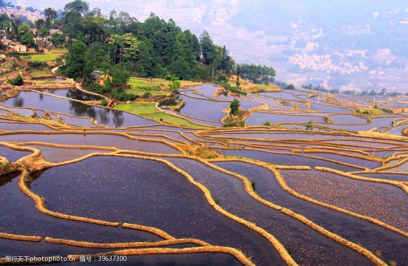 自然光梯田图片