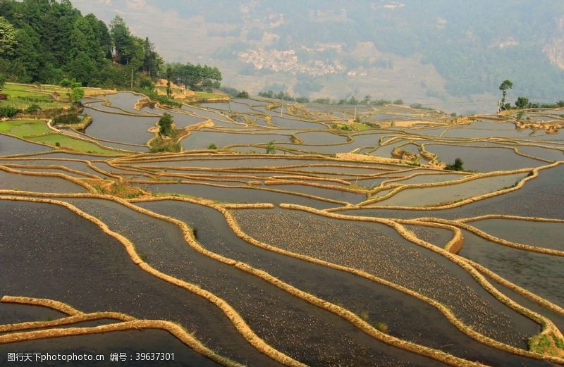 自然光梯田图片