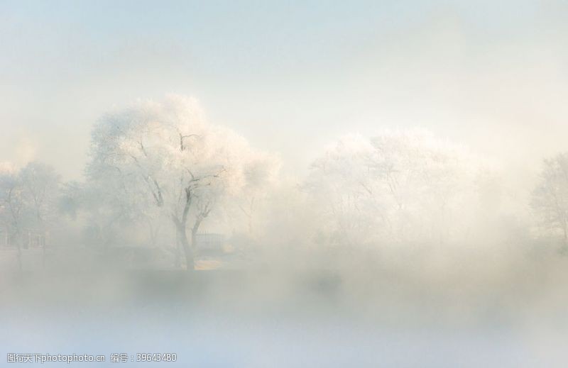冰花雾凇图片