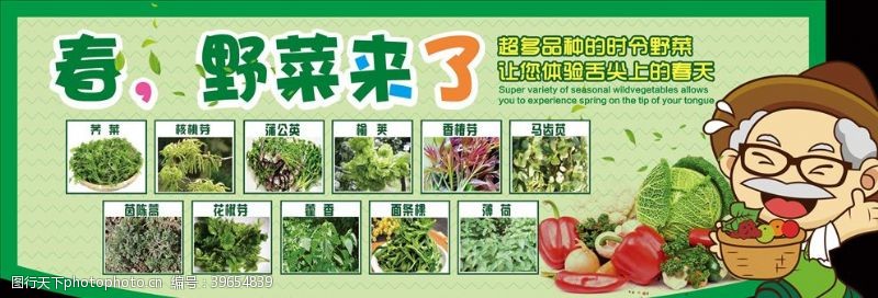 绿色蔬菜海报素材野菜图片