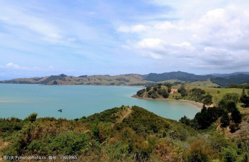 新西兰风光奥克兰海滨自然风光图片