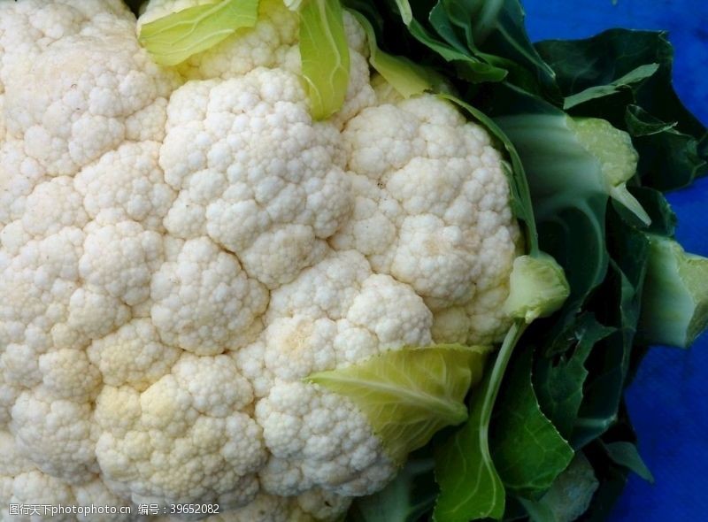 西兰花白色花菜营养花菜健康花菜图片