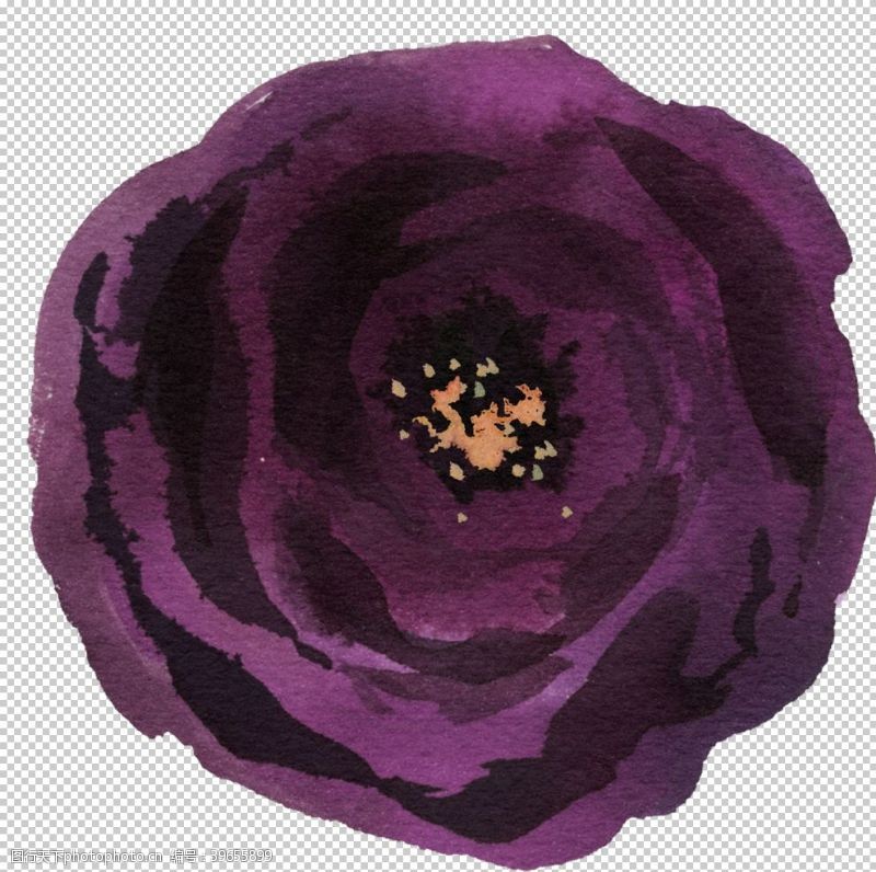 波西米亚风格水彩花朵图片