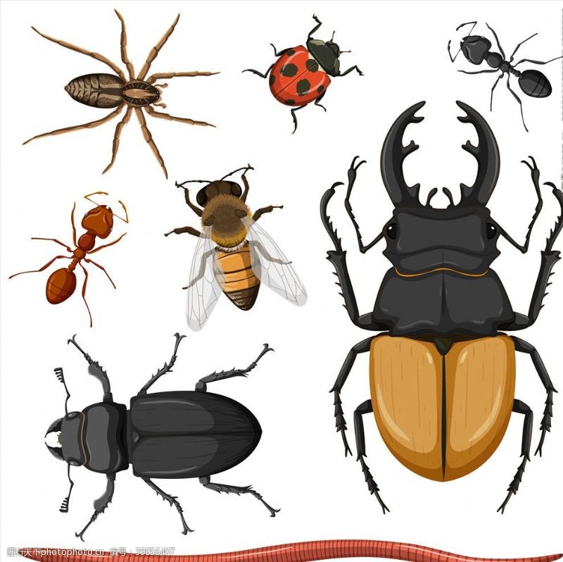 卡通昆虫昆虫蚂蚁恐图片