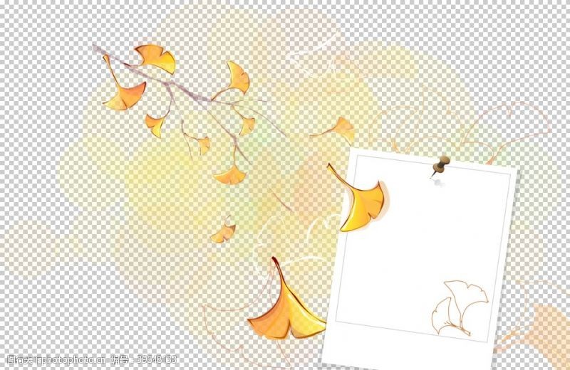 黄色叶子秋天银杏叶图片