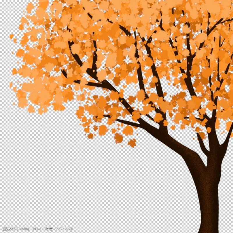 树叶边框秋天银杏叶图片
