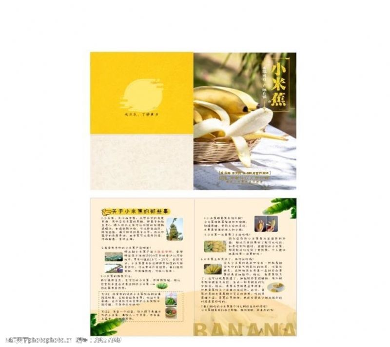 香蕉广告香蕉二折页图片