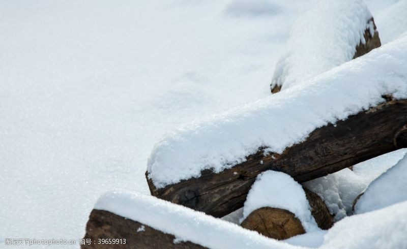 雪覆盖雪盖木头图片
