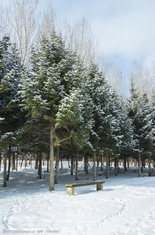 积木雪中的树林大图图片