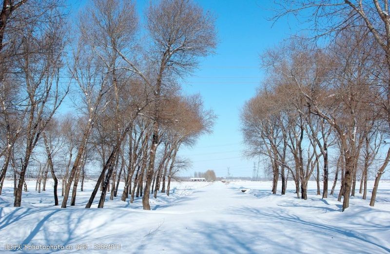 积木雪中的树林图片