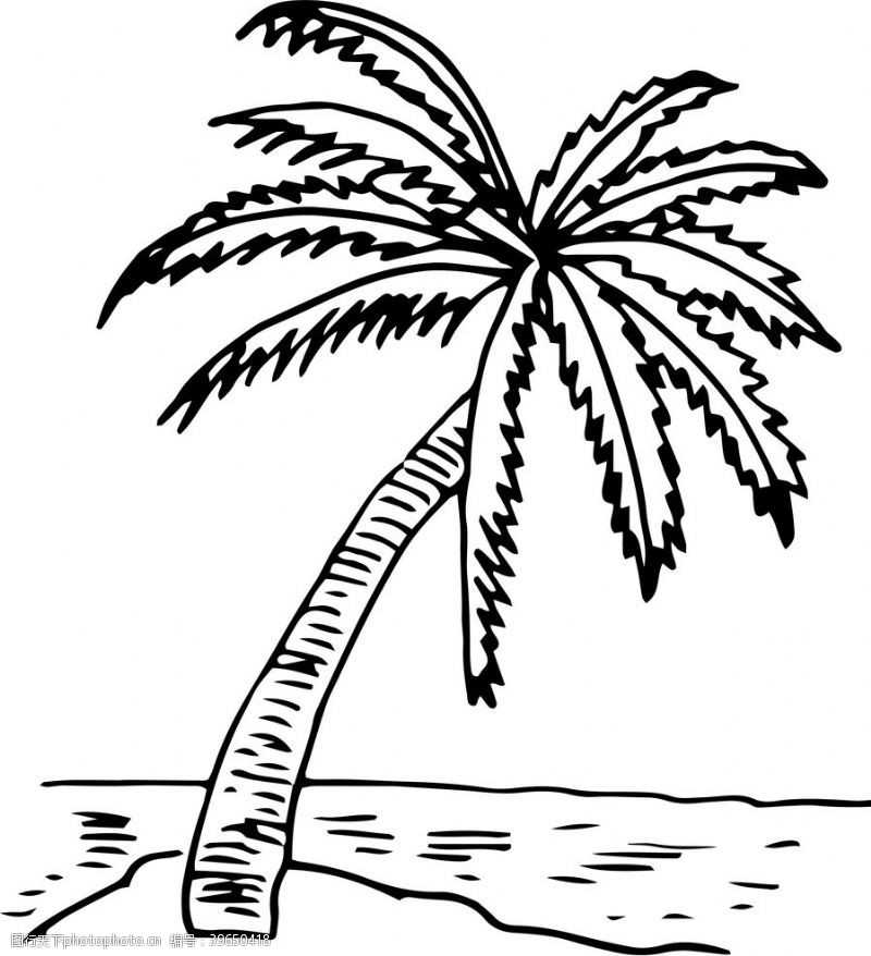 遮阳伞椰树图片