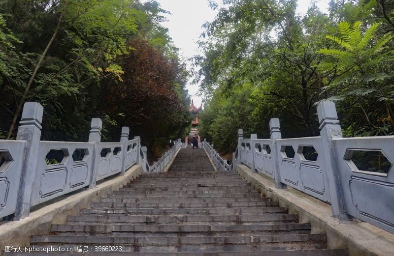 山间小路竹林台阶图片