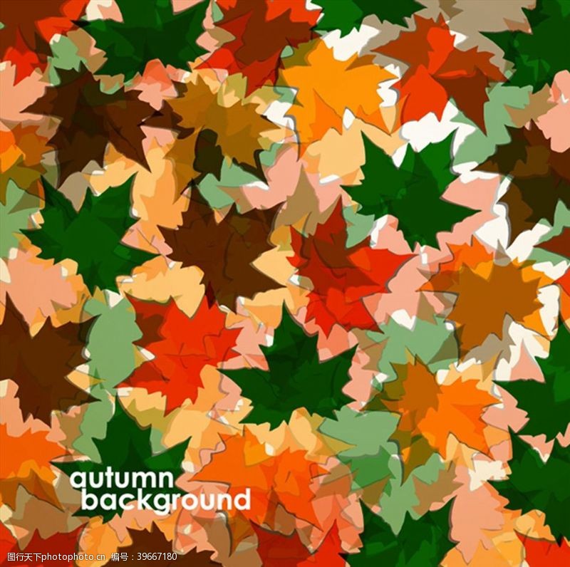 秋天叶子矢量彩色秋叶背景图片
