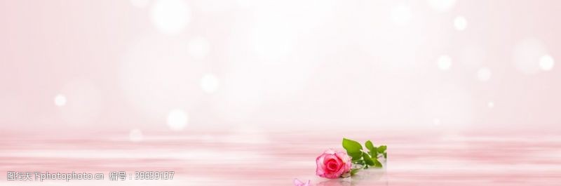妇女节粉色背景图片