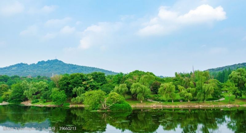 彩莲高原湖泊风景图图片