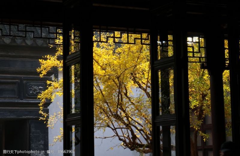 落叶背景古代建筑园林外银杏叶图片