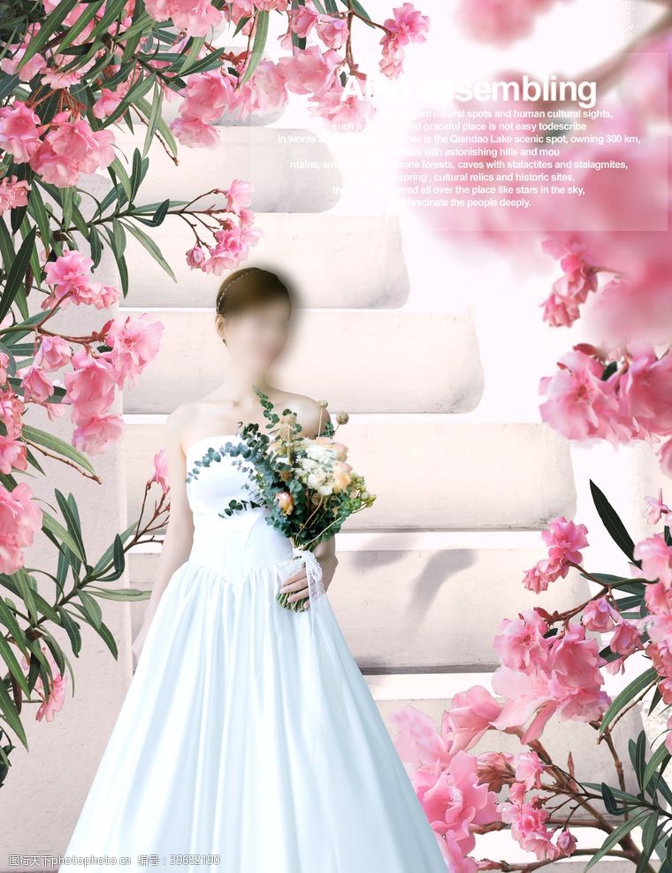 结婚展架广告婚纱背景图片