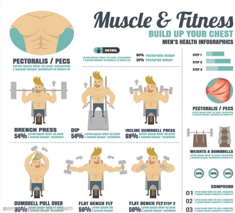 肌肉男健身元素信息图图片
