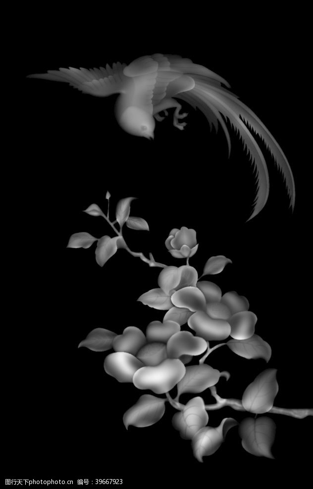 白菊花精雕图浮雕图灰度图黑白图图片