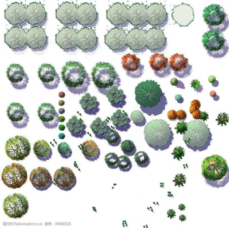 景观设计彩平素材景观绿化图片