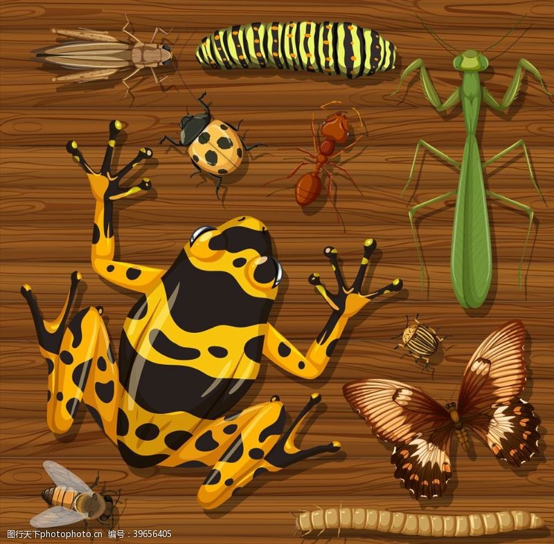 蚂蚁卡通昆虫图片