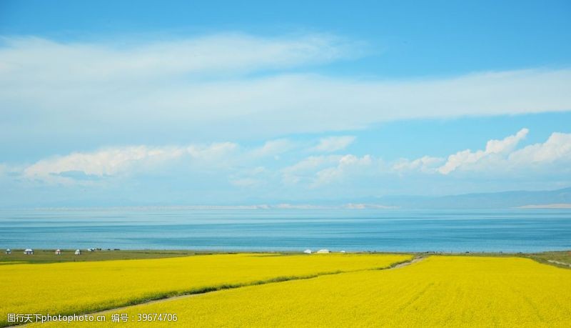 婺源旅游广告蓝天白云下的油菜花海图片
