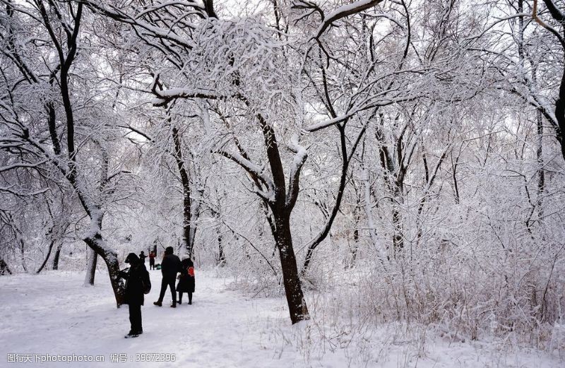 积木雪道路树木图片