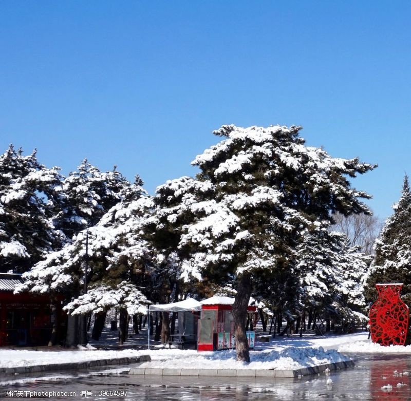 散步雪后的广场图片
