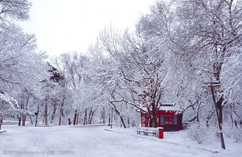 宁静雪中的亭子长凳图片