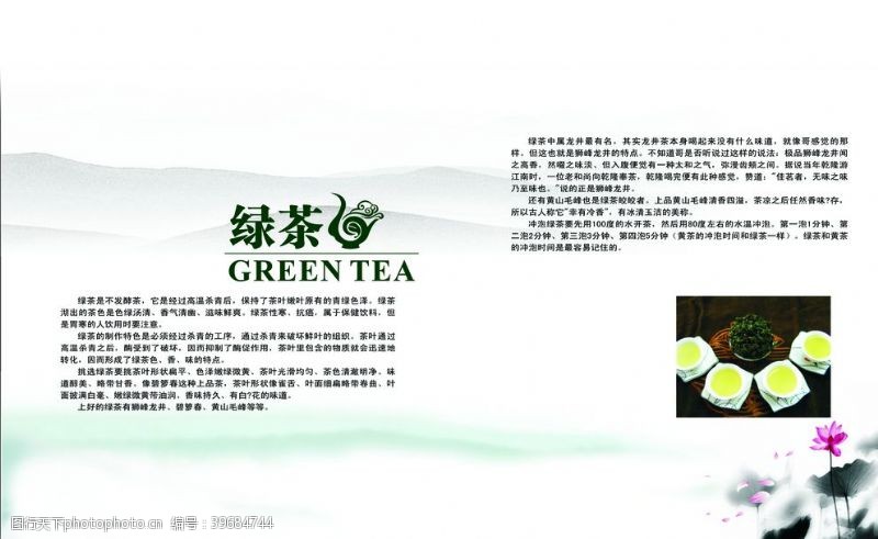 绿茶茶叶文化图片