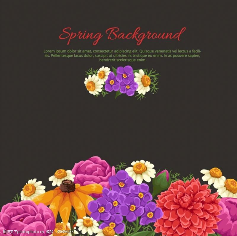 春季花卉背景图片