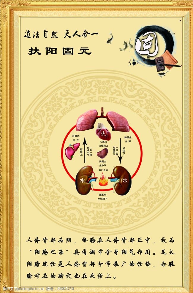 健康中国固本养元宣传图图片