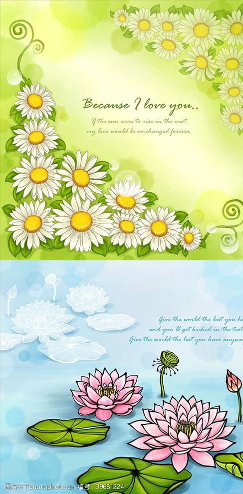 花草边框花卉背景图案图片
