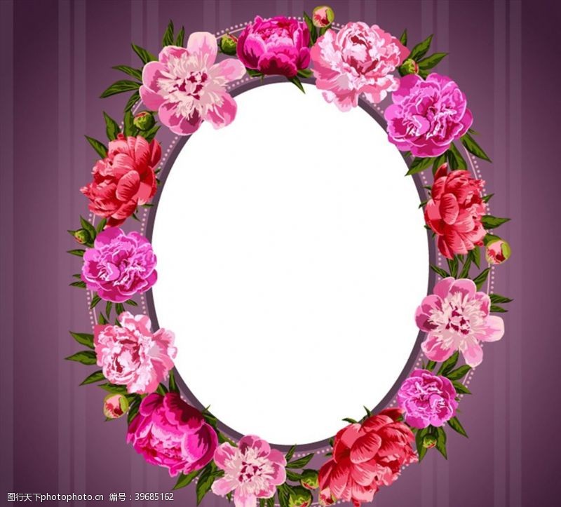 镜子花卉椭圆形背景图片