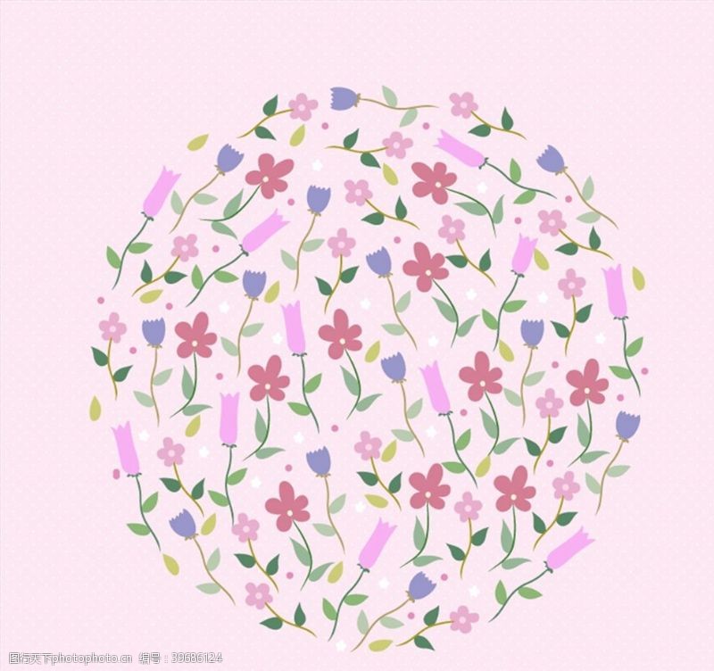 郁金香花卉组合圆形图片