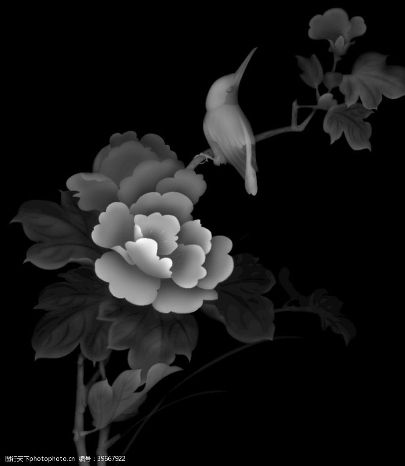白菊花精雕图浮雕图灰度图黑白图图片